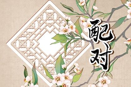日支定夫妻宫：合与冲